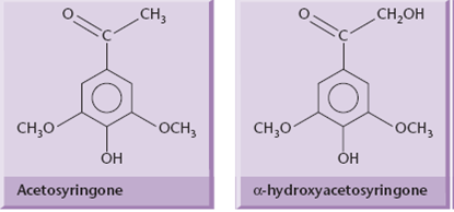 Structures of signal molecules, produced by wounded plant tissue, which activate T-DNA transfer by A. tumefaciens