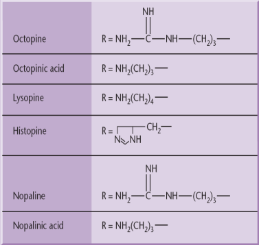 Structures of some opines