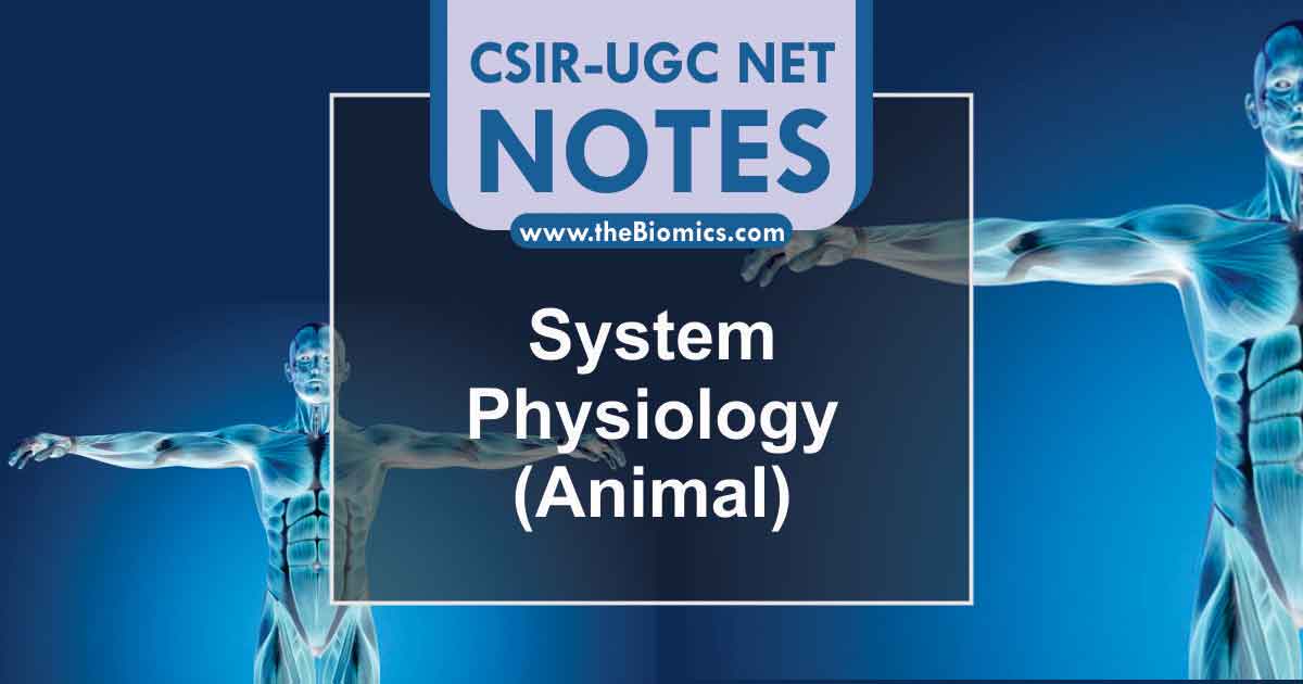 Notes in System Physiology – Animal